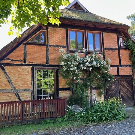 Pfarrhaus Tollensesee Penzlin Eksteriør billede