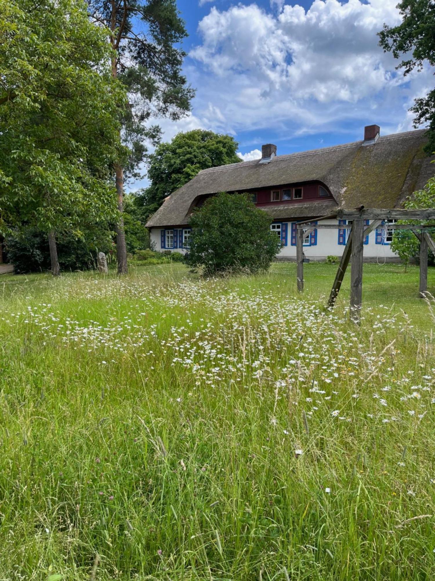 Pfarrhaus Tollensesee Penzlin Eksteriør billede